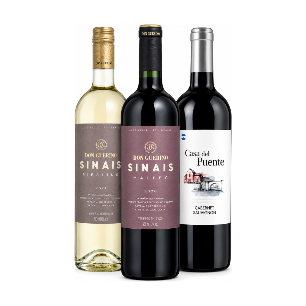 Kit Tintos Refrescantes Malbec l Cabernet l Riesling - 4 UN