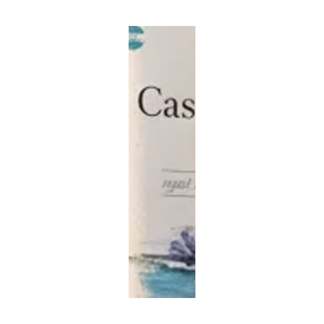 Vinho Branco Argentino Casa del Puente Chardonnay 750ml — imagem 2 de 3